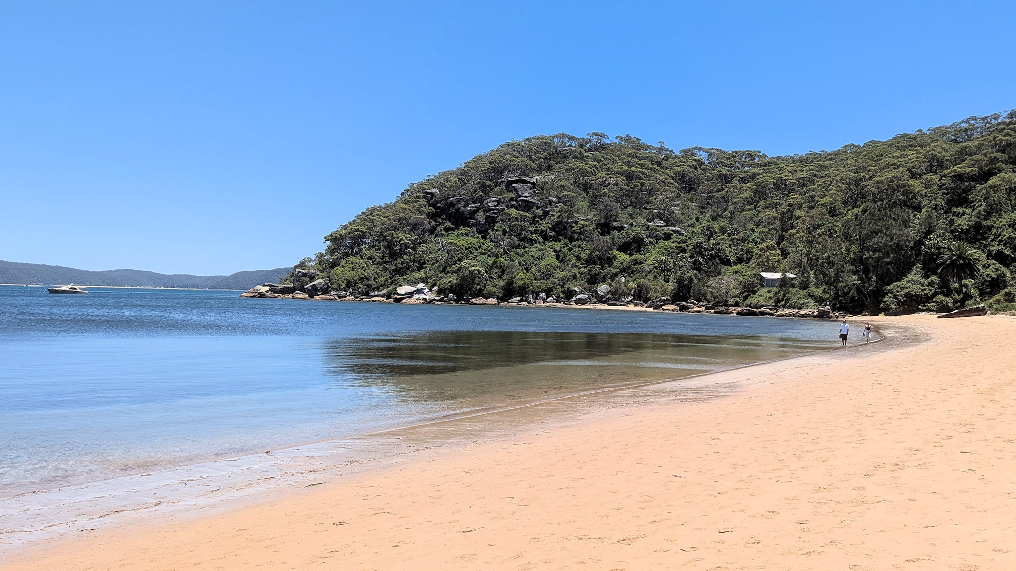 barrenjoey track (2)